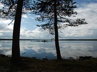 sortbrysttjern1_IW06_web.jpg