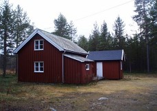 538219462.JPG