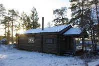 Bilder sortbrysttjern 005.jpg