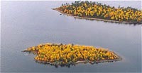 inari